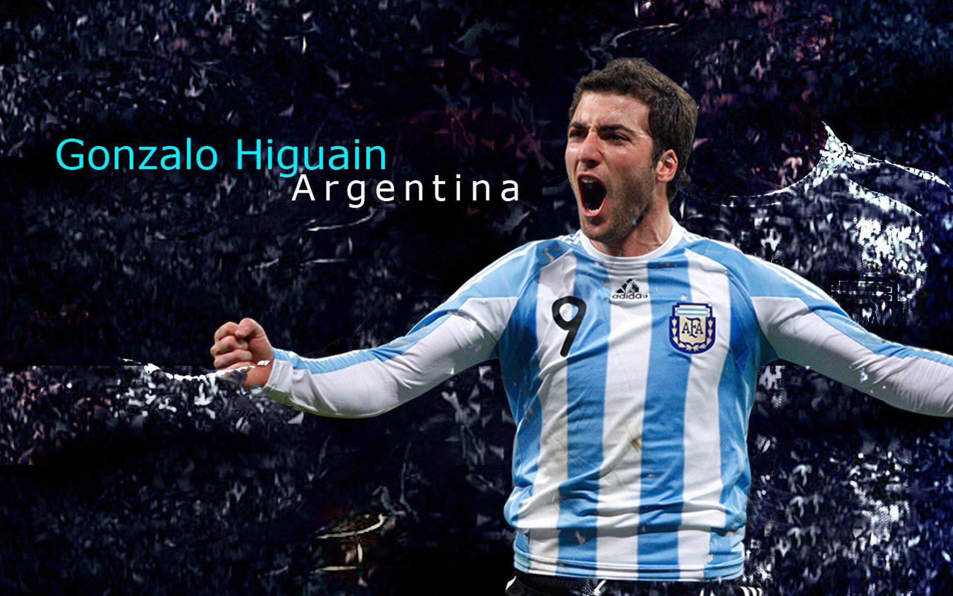 -国家队内部岗位分工缺乏效率评估体系