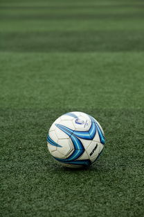 爱游戏体育入口-世界青少年趣味运动挑战赛掀起全民热潮,2020世界青少年运动会在哪里