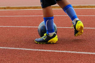 爱游戏网页版-女性足球:发展现状与未来机遇,女子足球明星有哪些